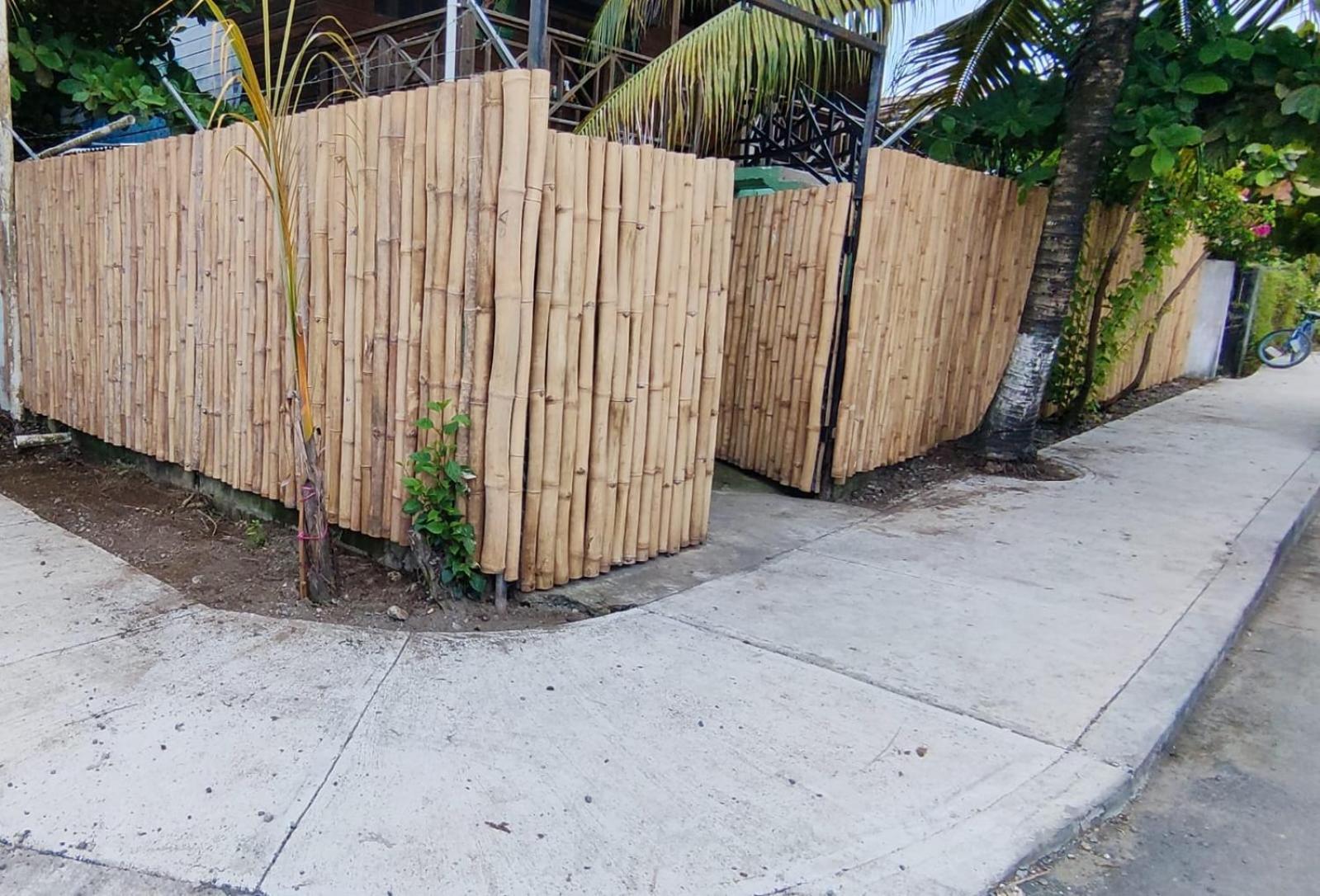 Bambu Lounge Bocas Hostel Bocas Town Exterior photo