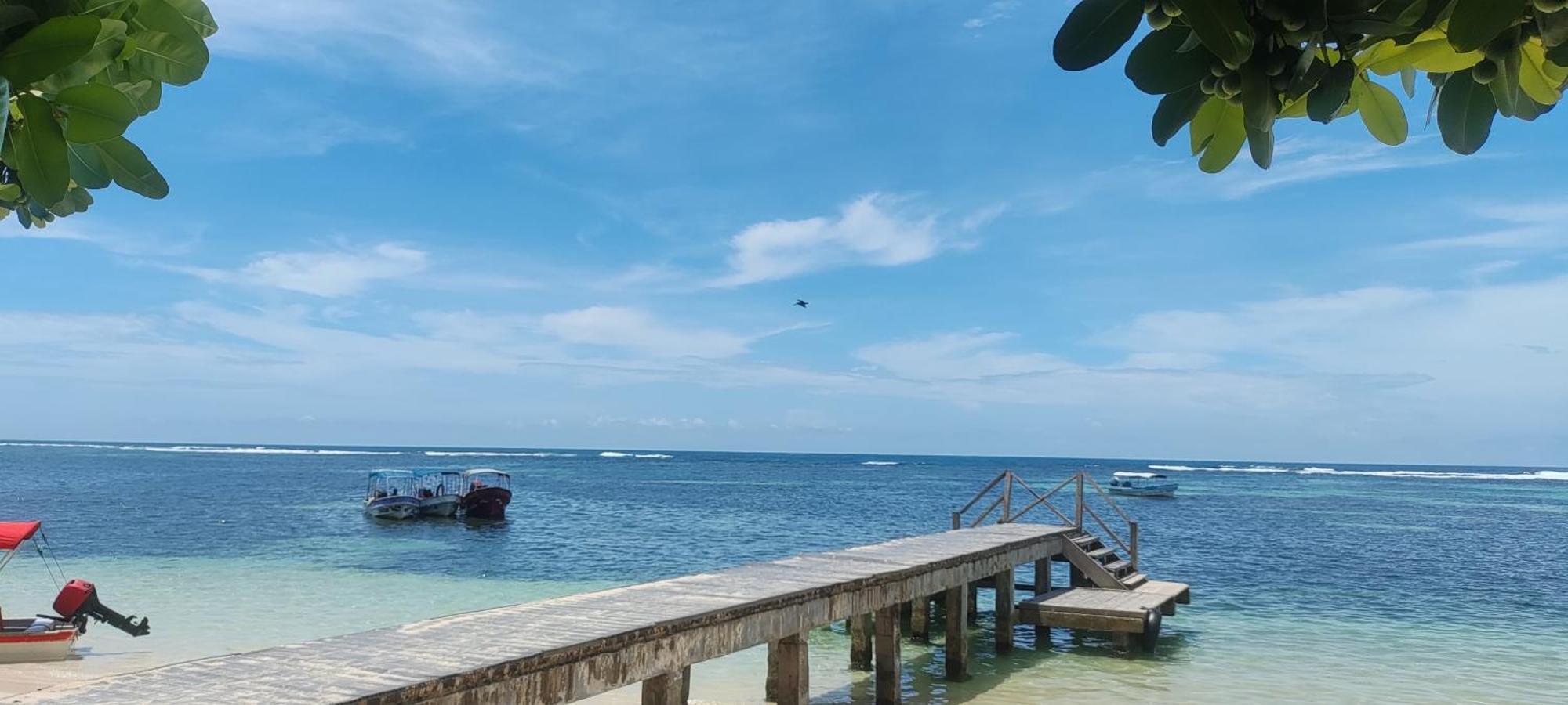Bambu Lounge Bocas Hostel Bocas Town Exterior photo