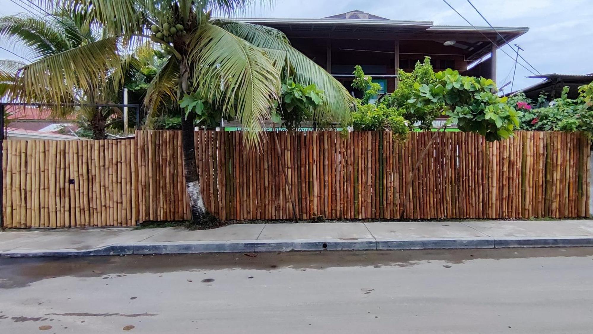 Bambu Lounge Bocas Hostel Bocas Town Exterior photo